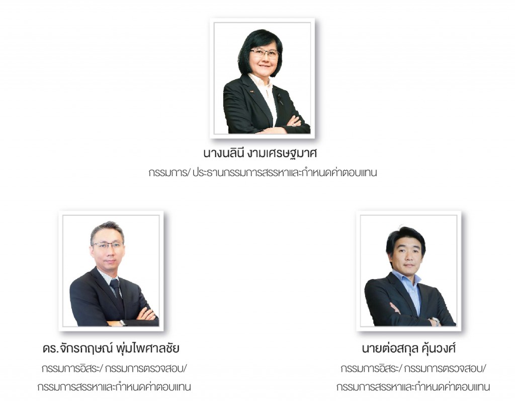 Nomination and Remuneration Committee_TH