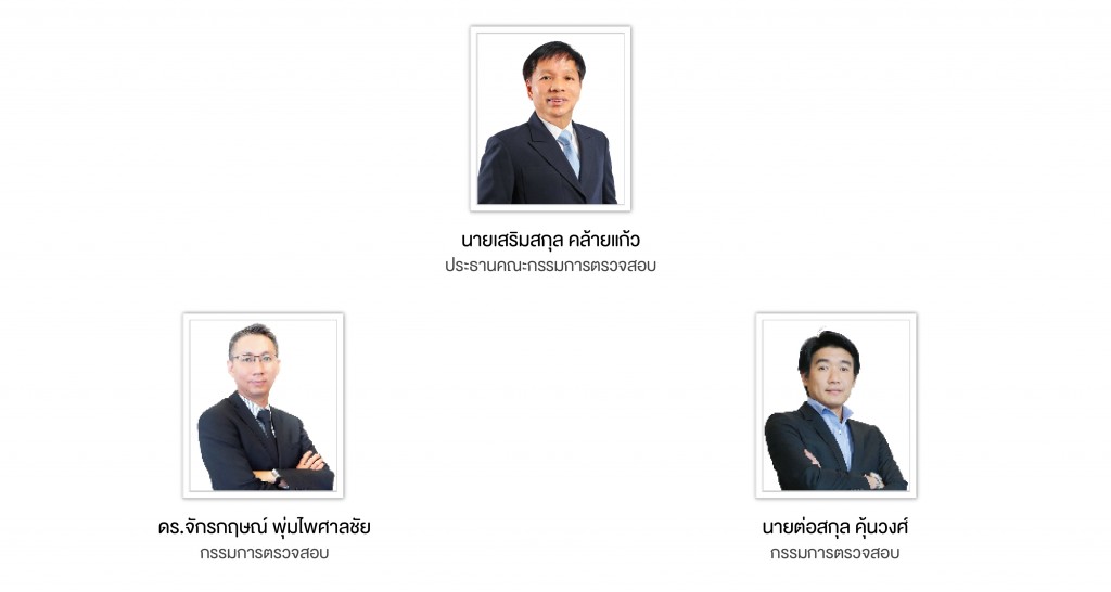 คณะกรรมการตรวจสอบ