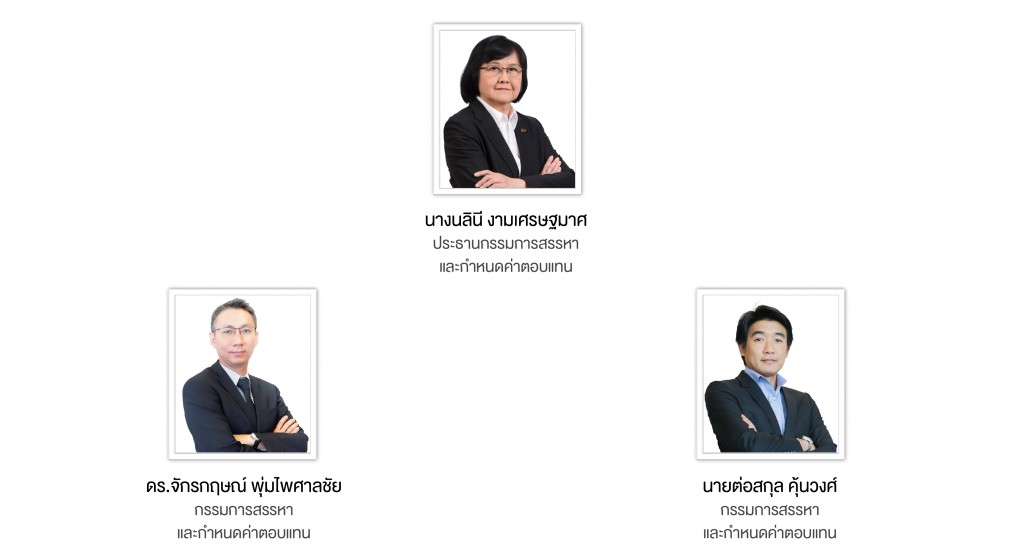 Nomination and Remuneration Committee_TH