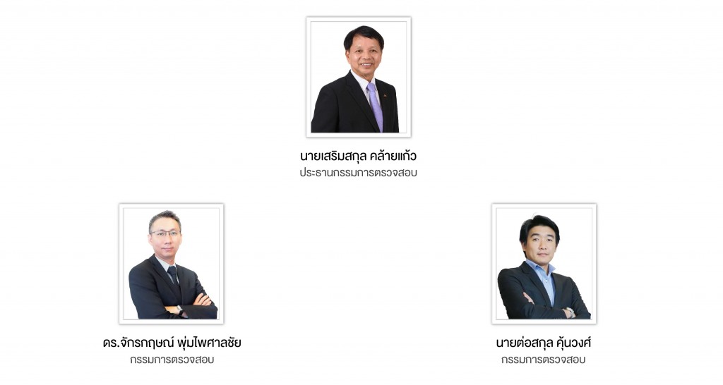 คณะกรรมการตรวจสอบ