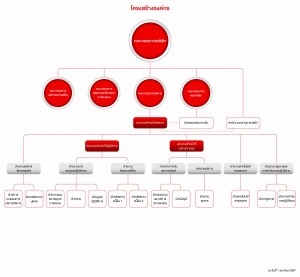Org Chart-TH