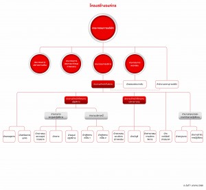 Org Chart-TH